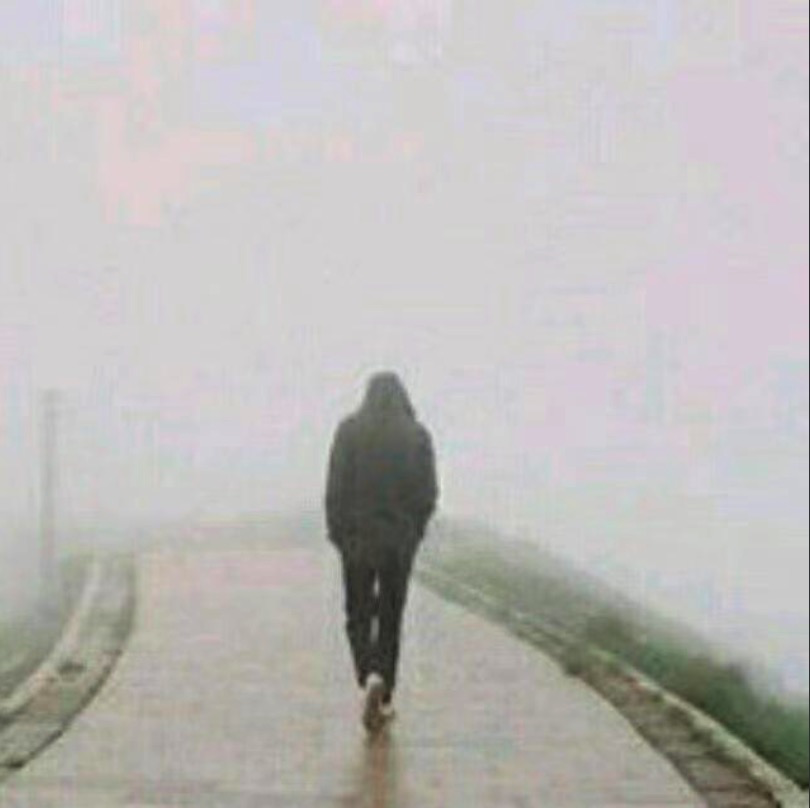 image-20240311173346223